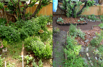 (side-by-side photos, east side of garden, facing east)