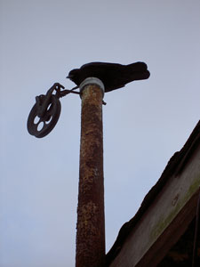 (crow atop a rusty pole)