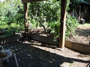 (main garden, view from beneath the deck, facing southeast)