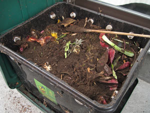 (compost box)