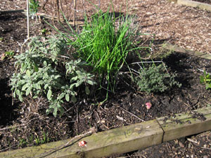 (triangular garden plot, facing west)