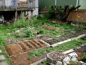 (full garden view facing north)