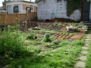 (full garden view facing south)