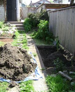 (west side of the garden: a large pile of dirt sits on the sidewalk beside a rectangular plot)