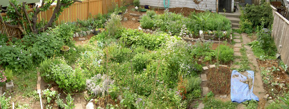 (garden panorama, facing southeast)