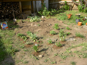 (view of yard, facing southeast)