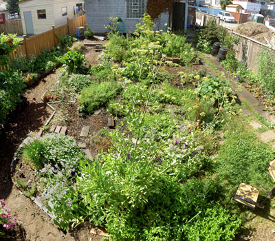 (garden panorama, facing south)