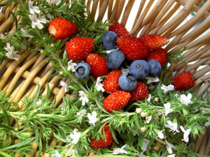 (basket of berries and flowering herbs)