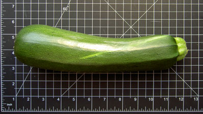 (a large zucchini)