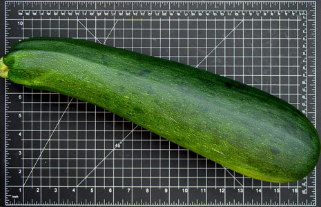 (a very large zucchini)