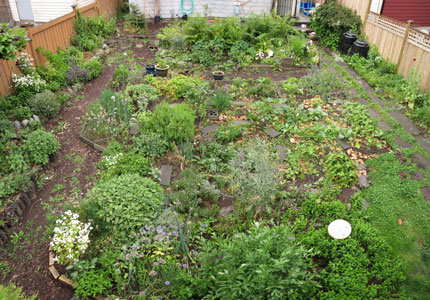 (garden panorama, facing south)